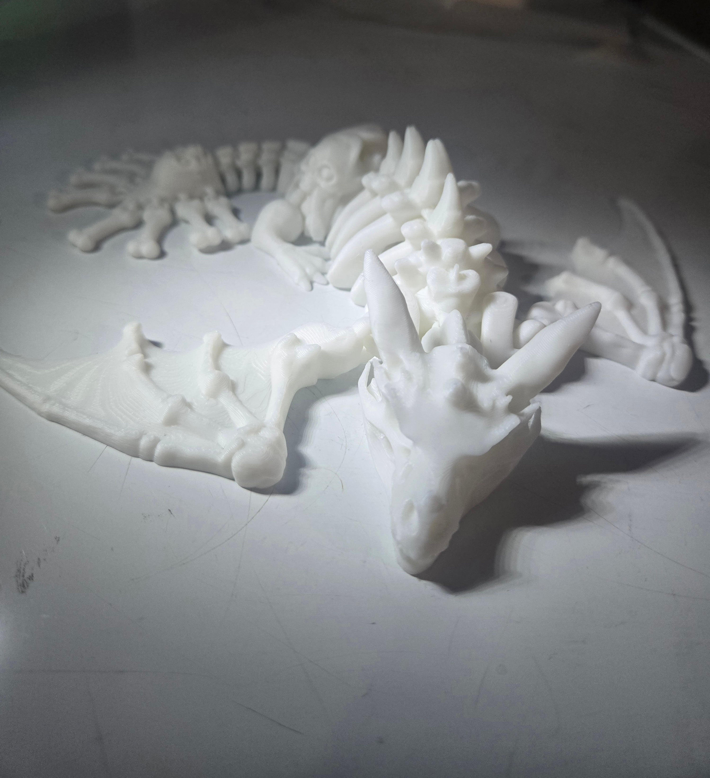 3d skeleton dragon